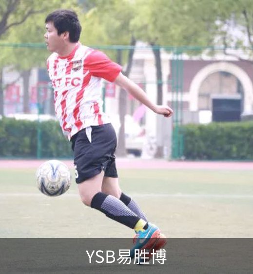 关于YSB易胜博